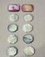 10 Piece Antique Mother of Pearl Poker Gaming Casino Chip Set (Circa 1880-1900s)